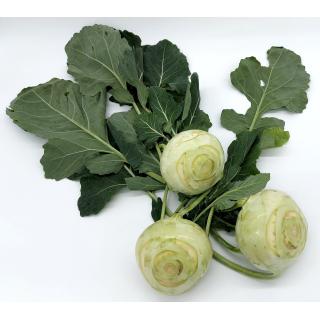 Kohlrabi