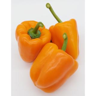 Paprika - orange