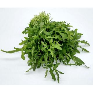 Rucola
