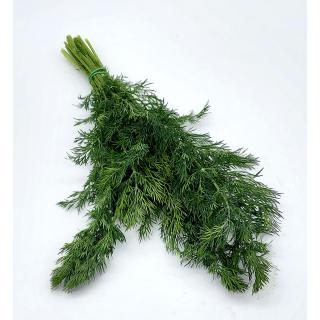 Dill