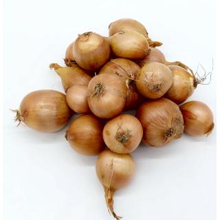 Zwiebel