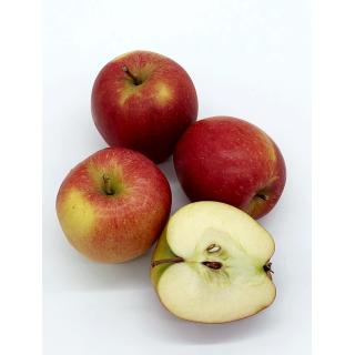 Braeburn, aus dem Neckartal