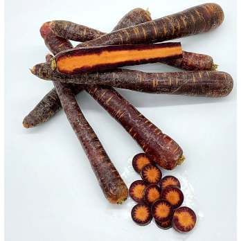 Rote Karotten/Urmöhre