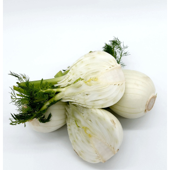 Fenchel