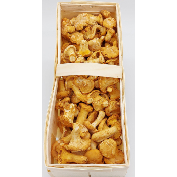 Pfifferlinge "küchenfertig", Serbien