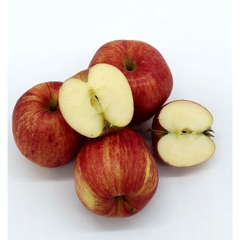 Gala, aus dem Neckartal