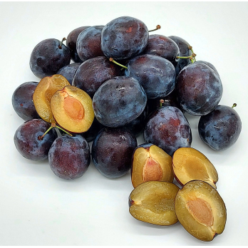 Zwetschgen, aus Schlat